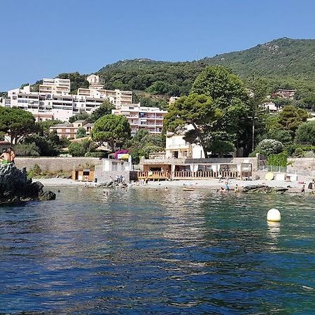 Charmant Studio Climatise Avec Parking, Au Coeur De Pietranera, Plage A 500M, Bastia A 2Km Ville-di-Pietrabugno Kültér fotó